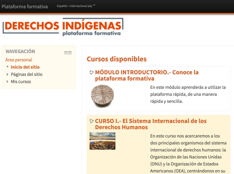 Formación en Derechos Humanos y territoriales de los pueblos indígenas